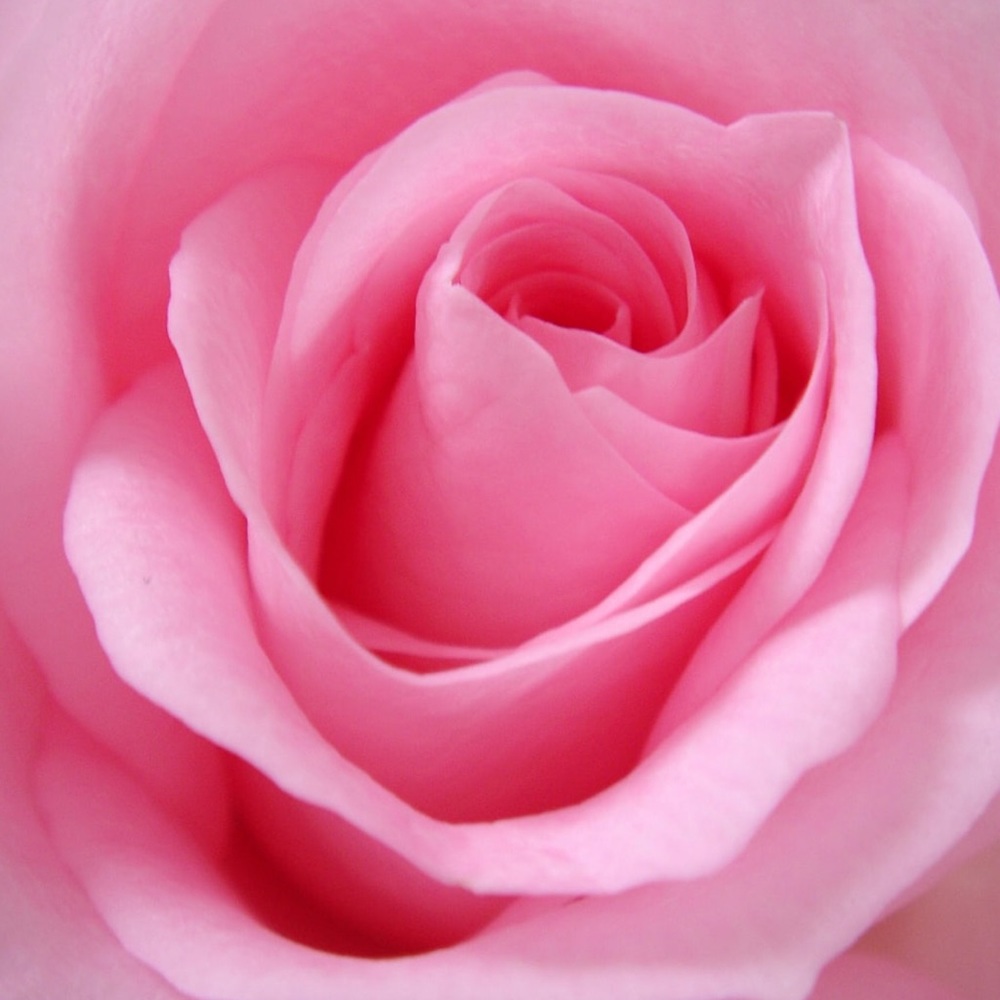 Meet your Posher, Kay